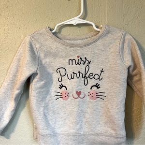 Toddler sweatshirt